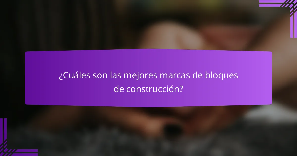 ¿Cuáles son las mejores marcas de bloques de construcción?
