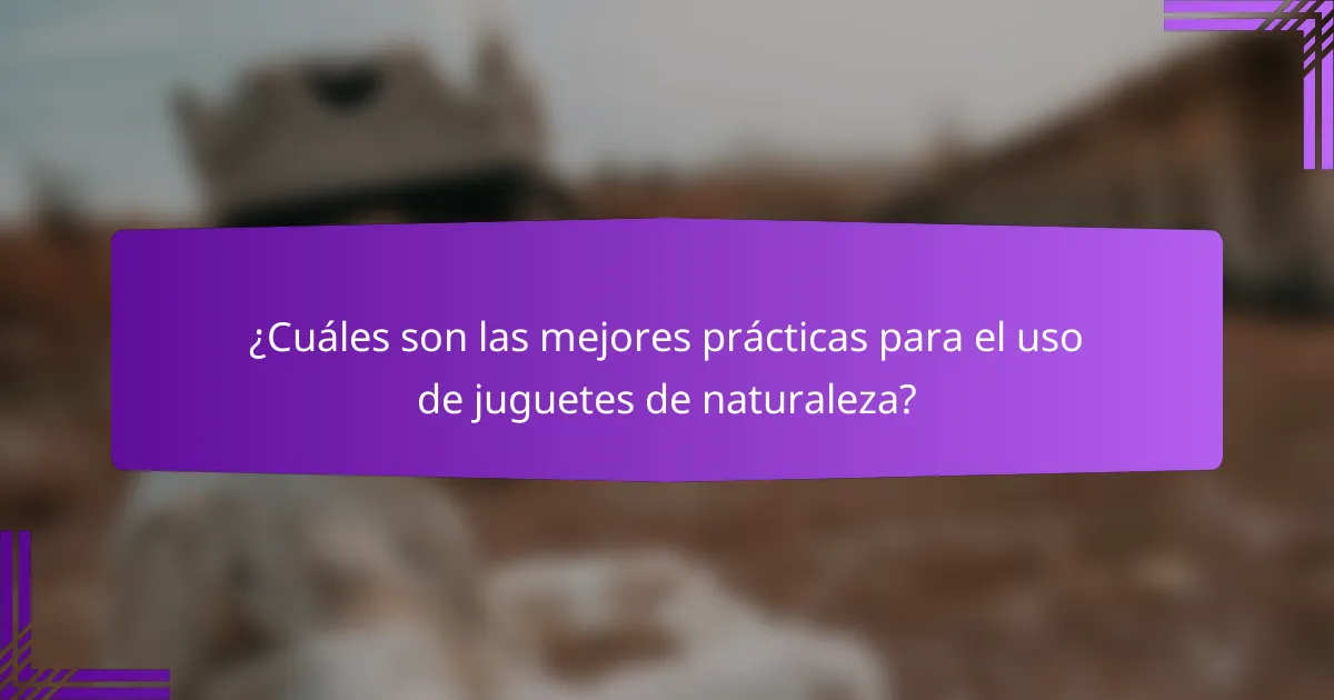 ¿Cuáles son las mejores prácticas para el uso de juguetes de naturaleza?