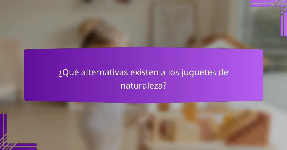 ¿Qué alternativas existen a los juguetes de naturaleza?
